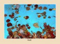 /album/fotogaleria-f-foto/web-155-jpg/